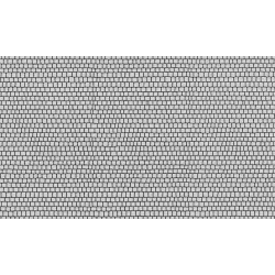 34224